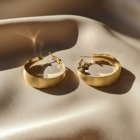 Серьги 022421123GP-M